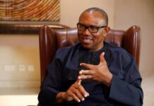 I’ll Serve One Term as President ‘With a Gun to my Head’ — Peter Obi