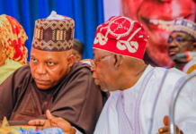 APC Names Tinubu Chair of 2027 Presidential Campaign Council — FULL LIST