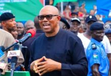 Nigeria Cannot Survive Under Persistent Killings, Insecurity: Peter Obi