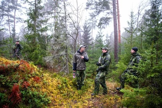 Swedish Home Guard soldiers move through a taiga forest during a reconnaissance lane in Kalix on June 1.US Army/Staff Sgt. Anthony Bryant