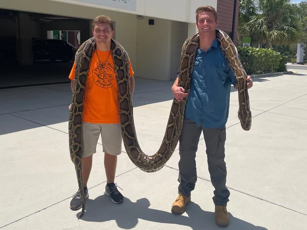 Stephen Gauta (left) and Jake Waleri brought the 19-foot python to the Conservancy of Southwest Florida in Naples, Fla., to have it measured and donated for studies. Conservancy of Southwest Florida