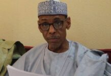 Nigeria’s Insecurity Rooted in Decade of Poor Governance, Tinubu Ex-Aide Warns