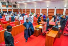 Senate Minimize INEC Election Notice Period From 360 Days To 180 Days
