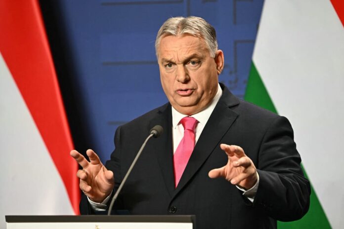 Viktor Orban. Attila Kisbenedek/AFP via Getty Images