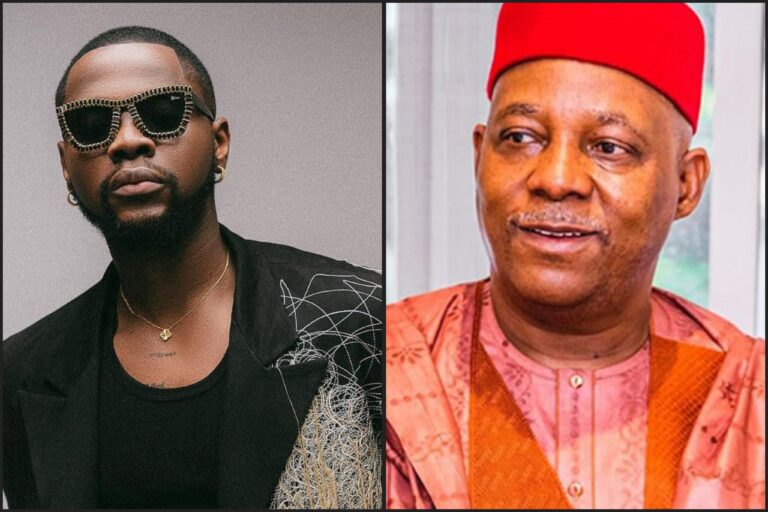 Kizz Daniel’s ‘Buga’ Almost Becoming Nigeria’s Second National Anthem: VP Shettima