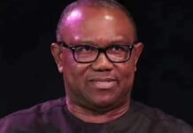 Peter Obi Says ‘Nobody Will Intimidate’ Him Ahead of 2027