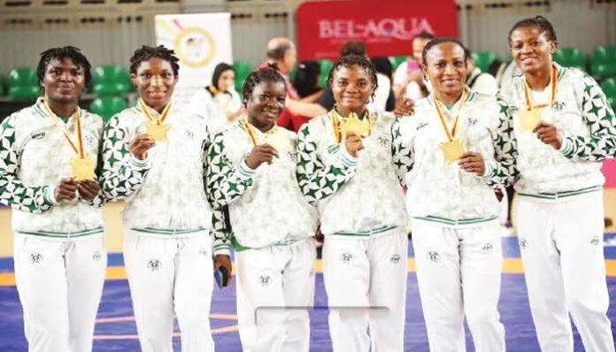 Team Nigeria at the 13th African Games