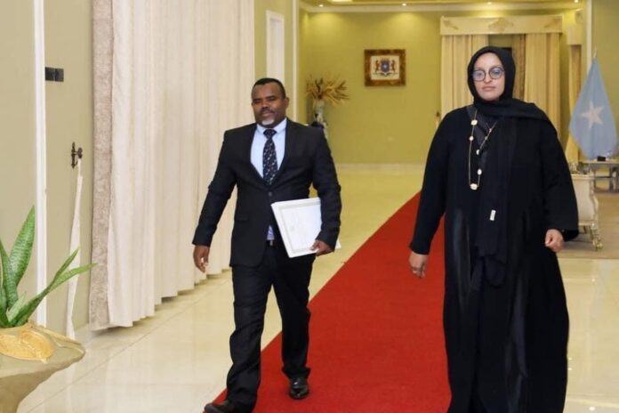 Ethiopian Ambassador to Somalia, Muktar Mohamed Ware, presented his credential in March 2023. (Photo : SONA)