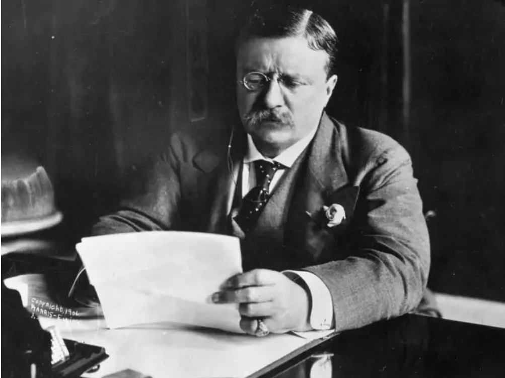 After President William McKinley was assassinated, his vice president Theodore Roosevelt took over in 1901.
