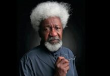 The Greater Crime is Silence – Soyinka Demands Answers From Tinubu Over Killings