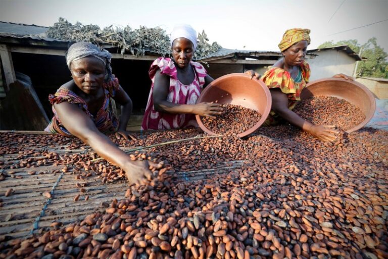 Ghana Seeks to Borrow $500 Million From Cocoa Traders