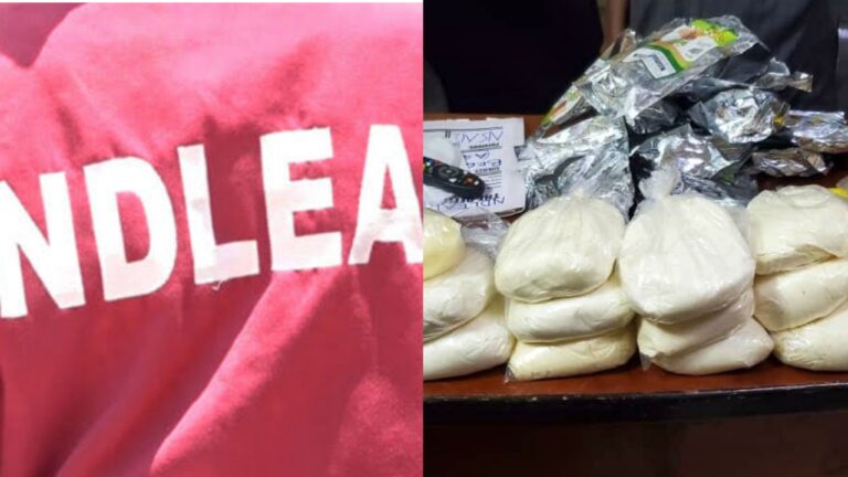 72-year-old grandma, Beninese arrested over illicit drug trafficking: NDLEA