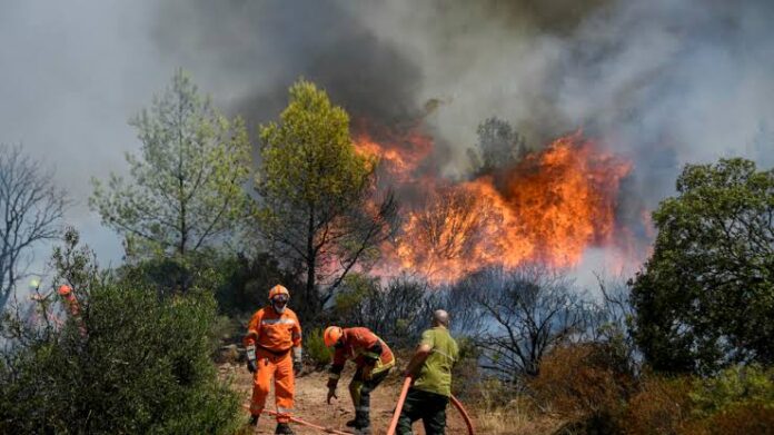 Firefighters use a water hose to try to extinguish a fire in Gonfaron, in the French department of Var, southern France, on August 17, 2021. © Nicolas Tucat, AFP