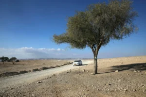 The neighborhood on the edge of the desert looks like a settlement in the West Bank.Credit: Eliyahu Hershkovitz