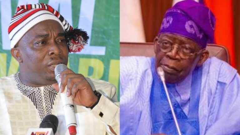 Ohanaeze Ndigbo to Tinubu: Beware of Governors Plotting Your Downfall Ahead of 2027