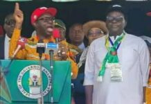 What Was Missing In APGA Of The Past! — Mazi Ejimofor Opara