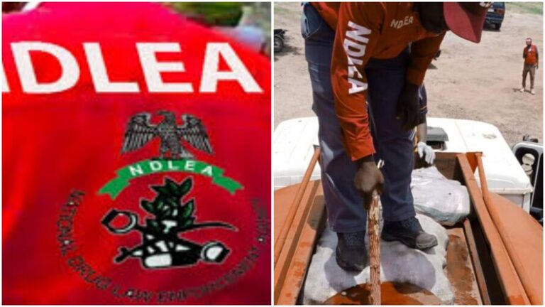 NDLEA Intercepts Fuel Tanker, Three Vehicles With 3,047kg Skunk in Niger