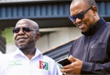 Abia Sets N200m Fee for Presidential Campaign Billboards