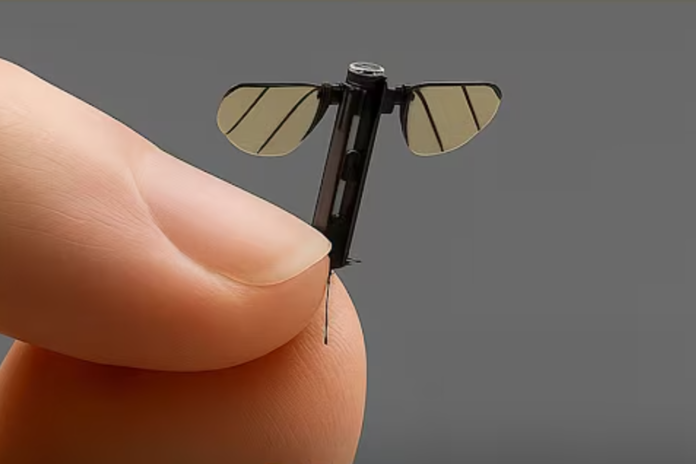 A mosquito-sized UAV has been developed for covert military operations (CCTV/ Screenshot)