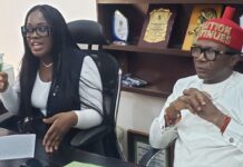 2026 Budget: Anambra Yet To Scratch Its Potential In Tax Collection: Nnake