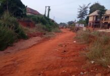 Anambra Community Seeks Urgent Intervention Of Dilapidated Road