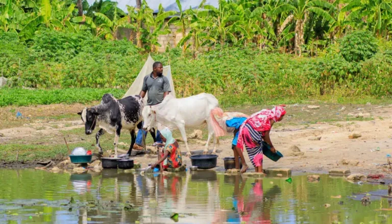 Nigeria Vows Total Eradication of Neglected Tropical Diseases by 2030