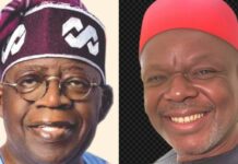 Tinubu Appoints Ezenwa As Renewed Hope Ambassador For Anambra