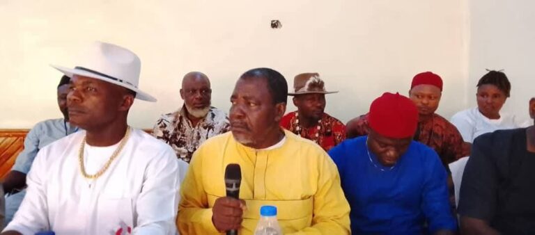 Anambra Herbal Practictioners Train Members, Calls For Professionalism