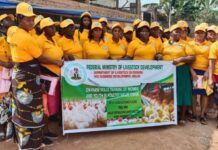 Anambra Women, Youths Trained In Poultry Value Chain