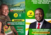 Young, Grassroots Candidates Shake Up Anambra Local Polls