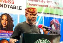 Ibezim Calls For Collective Efforts In Improving Manufacturing Sector