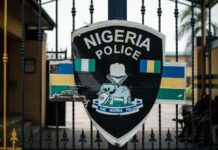 Fake JAMB Coordinator Arrested By Police In Anambra