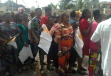 Labour Party Conducts Primaries For National Assembly Aspirants In Anambra