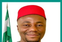 Anambra LG Chairman Arrested In US, Jailed For Five Years