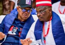 BREAKING: Peter Obi’s Name Uploaded as INEC Grants NDC Access to Portal
