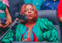 Teaching Is A Vocation, Not Just A Profession : Omenugha