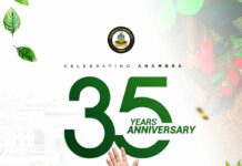 Anambra At 35 — The Time to Go Green is Now