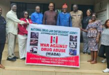 Soludo Moves To Make Anambra Licit Drug Hub Of West Africa : Mefor