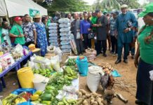 Anambra Gov’t Distributes 4,480 Bags Of Fertiliser To Boost Food Production