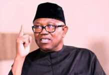 2027: Is Peter Obi’s Presidential Ambition An Igbo Project ?
