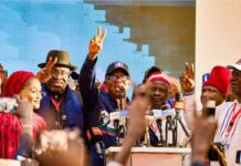 NDC appoints Dickson, Obi to head 2027 campaign council